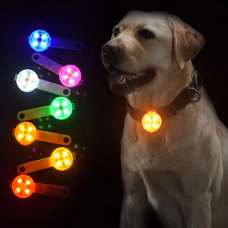 Waterproof IPX7 LED Pet Dog Collar Pendant