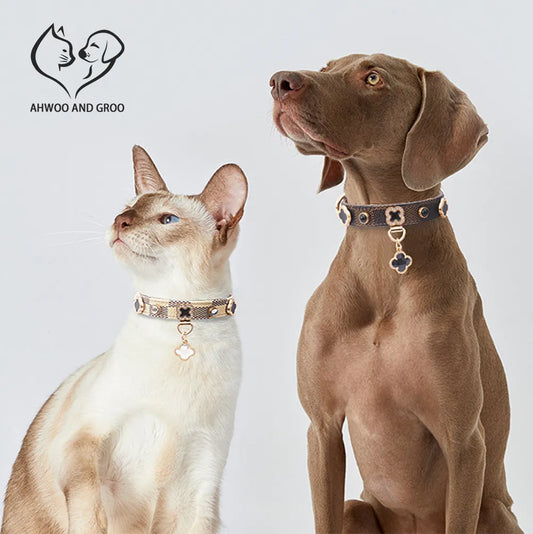 Luxury Collar for Dogs and Cats
