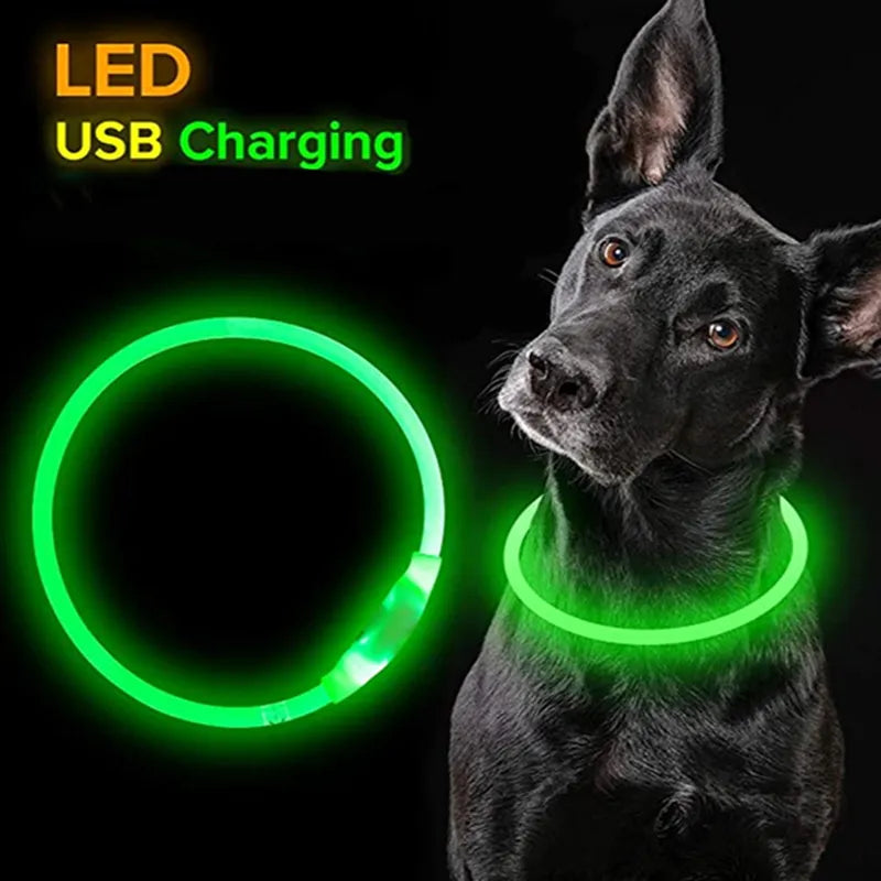 Led Collar for Dogs and Cats